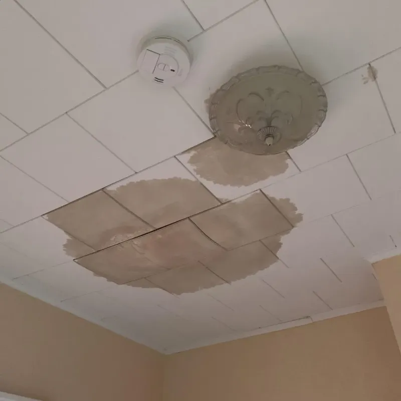 Ceiling Water Damage Repair in Jacksonville, NC