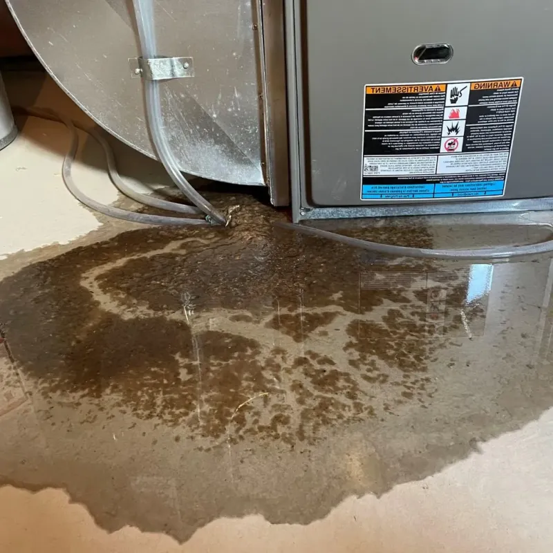 Pipe Burst and Leak Restoration in Jacksonville, NC