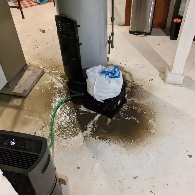 Sewage Backup Cleanup Service in Jacksonville, NC